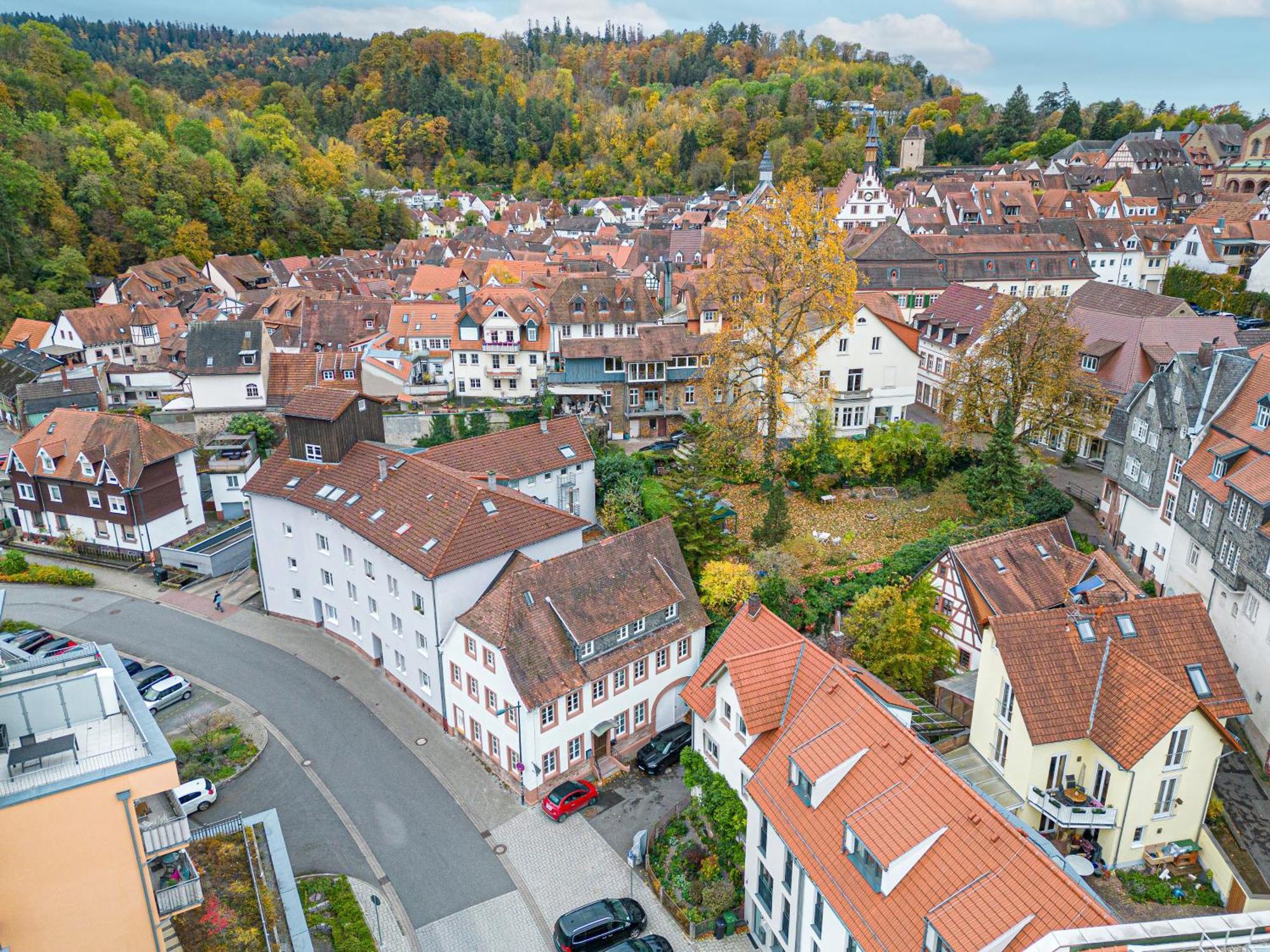 Lit Living Weinheim Altstadt - Boutique Apartments - Parking Kültér fotó